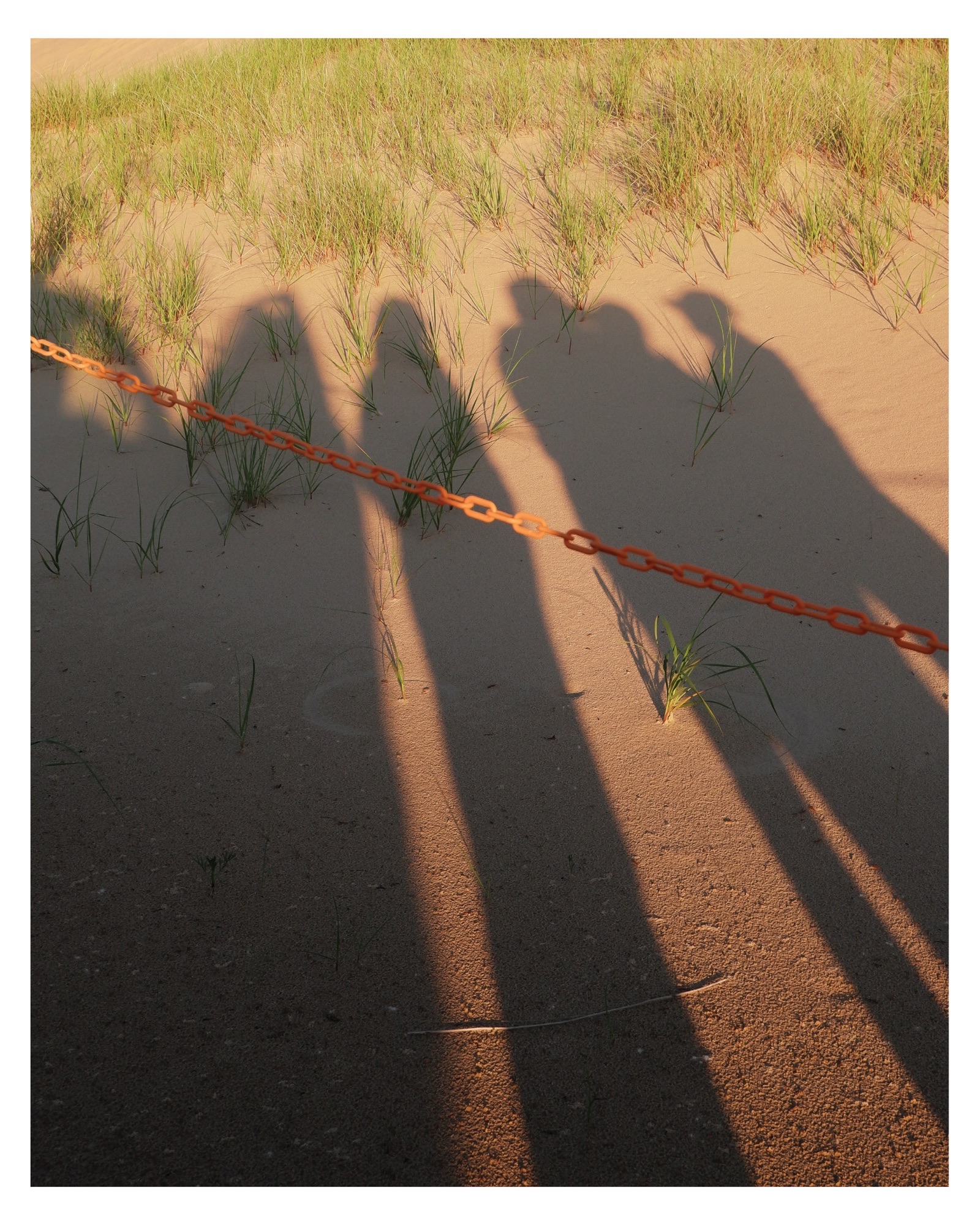 Silver Lake — image 14
